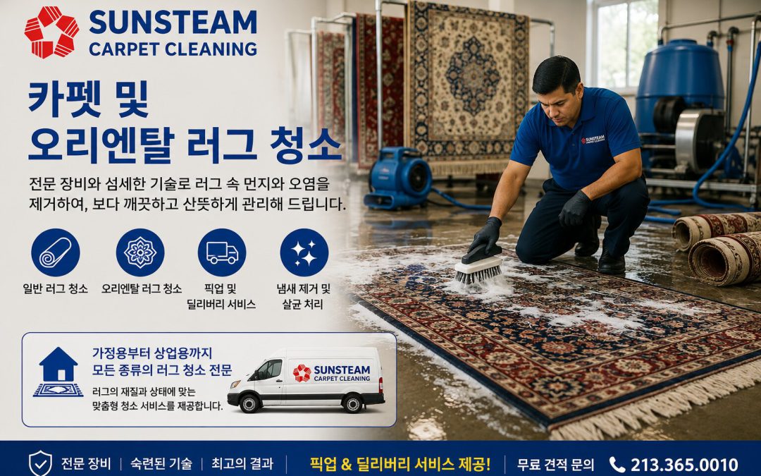 카펫 및 오리엔탈 러그 청소