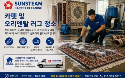 Area & Oriental Rug Cleaning
