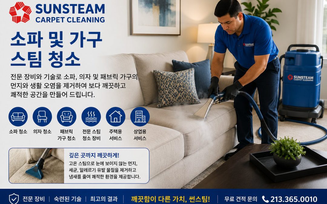 소파 및 가구 스팀 청소