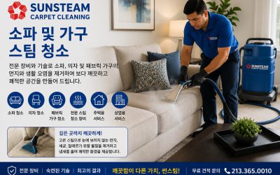 Upholstery Steam Cleaning