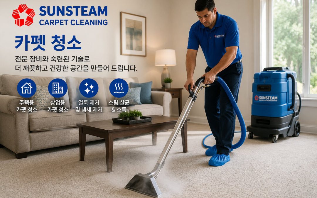 카펫 청소