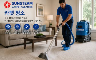 Carpet Cleaning